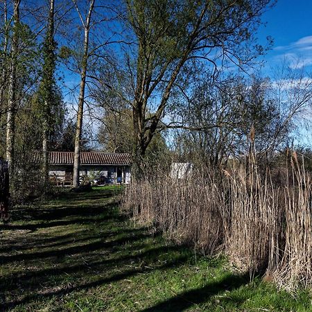 Espace Nature Studio indépendant proche du Parc des oiseaux Sainte-Olive Esterno foto