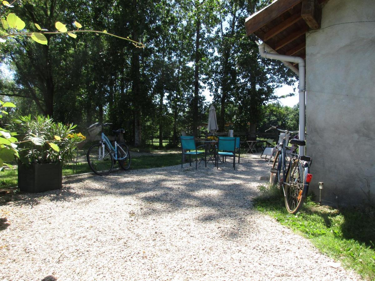 Espace Nature Studio indépendant proche du Parc des oiseaux Sainte-Olive Esterno foto