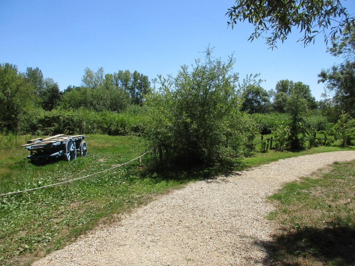 Espace Nature Studio indépendant proche du Parc des oiseaux Sainte-Olive Esterno foto