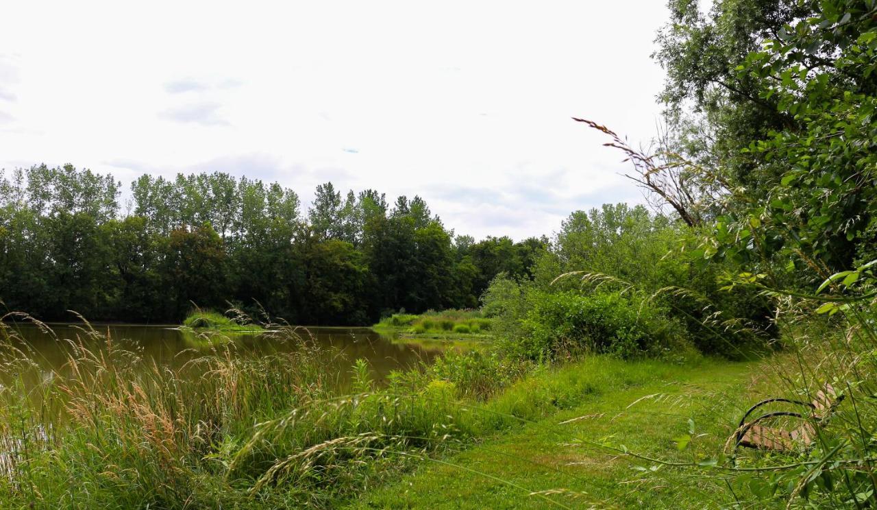 Espace Nature Studio indépendant proche du Parc des oiseaux Sainte-Olive Esterno foto