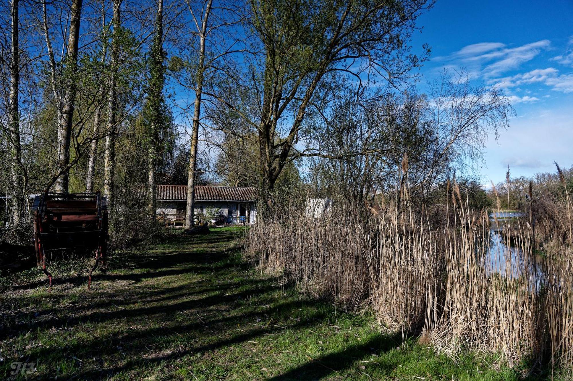 Espace Nature Studio indépendant proche du Parc des oiseaux Sainte-Olive Esterno foto