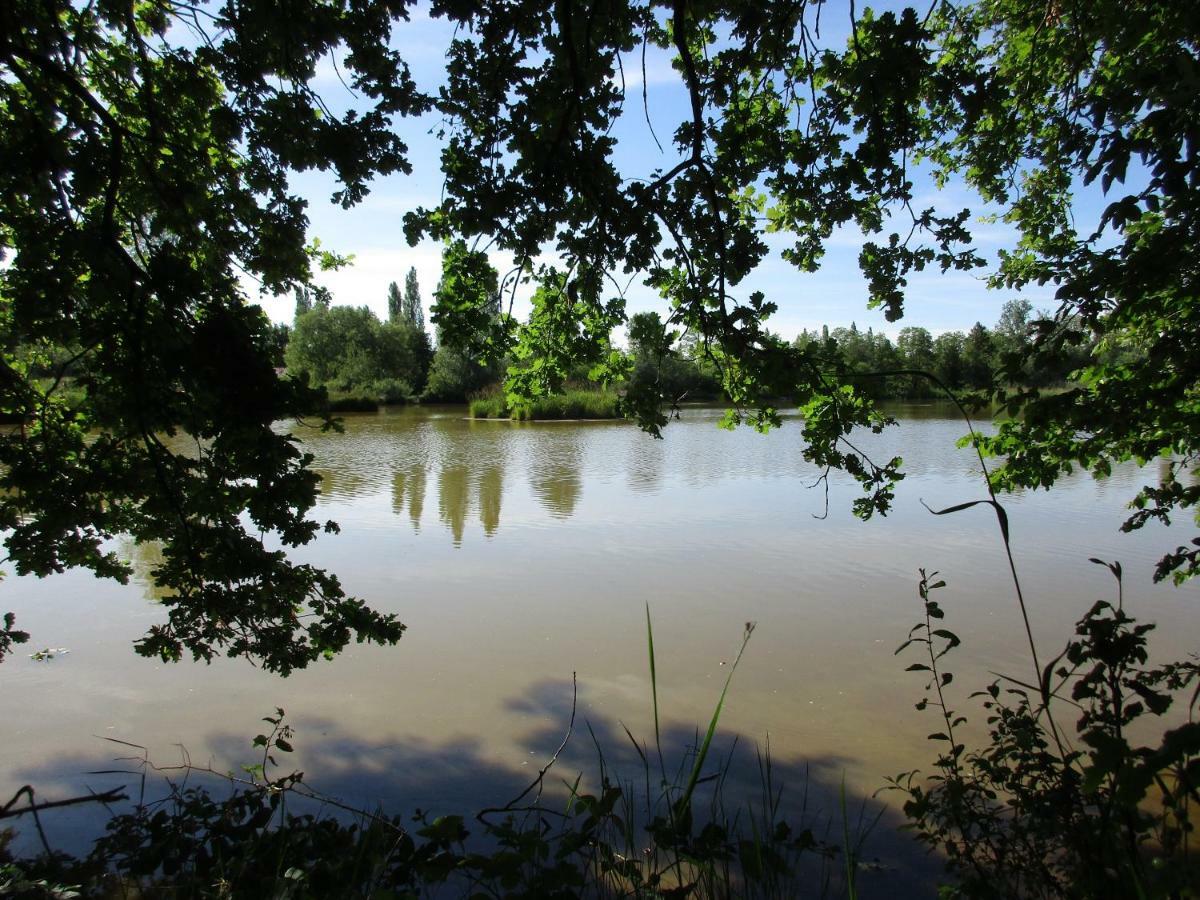 Espace Nature Studio indépendant proche du Parc des oiseaux Sainte-Olive Esterno foto